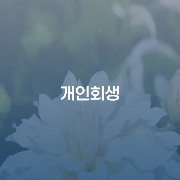 개인회생신청 채무조정제도을 이용하여 핵심요약