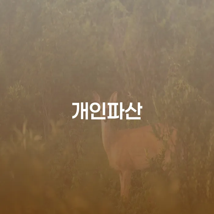 대출 연체 시 빚청산 해결하고 싶다면