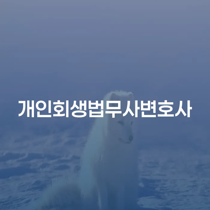 파산전문변호사 빚갚는 방법 가장 먼저 확인할 점