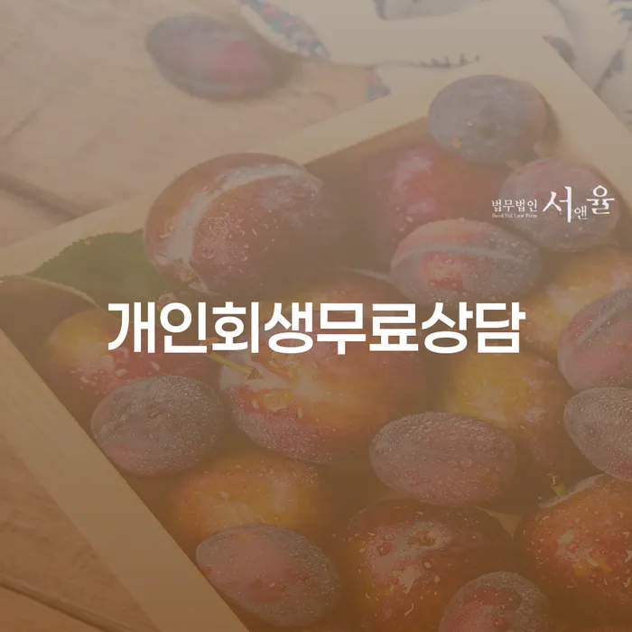 부여군 보이스피싱개인회생 개인회생으로 현명하게 성향에
