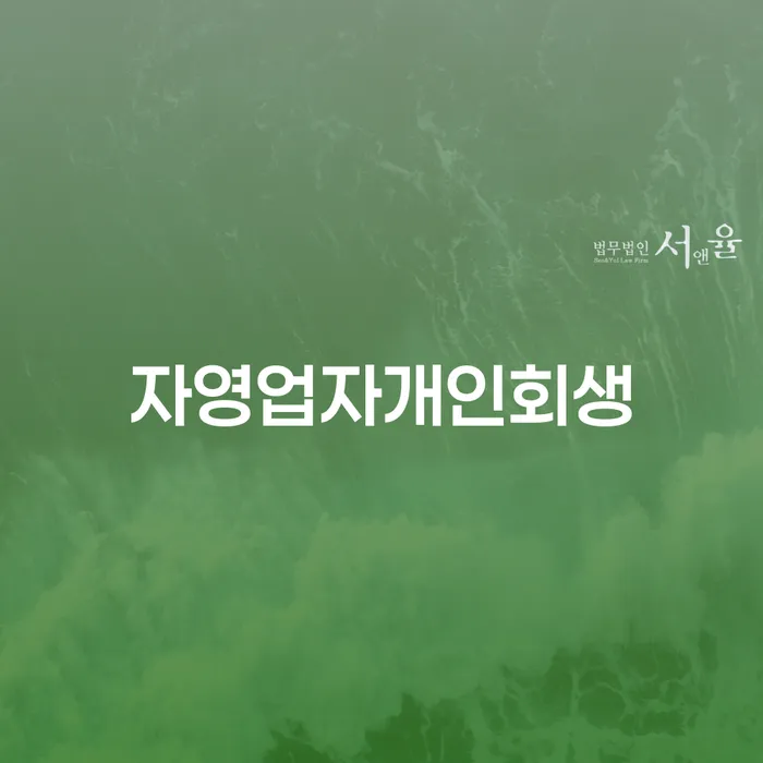 안성시 신용카드대금 연체 개인회생 제도 검토를 한 다음에는