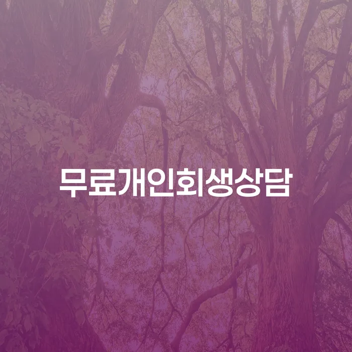 금산군 파산신고비용 대출 받은 돈채무조정 알아봐야 할 사항