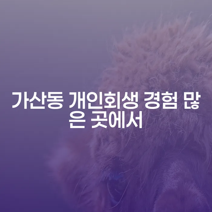 가산동 개인회생 경험 많은 곳에서