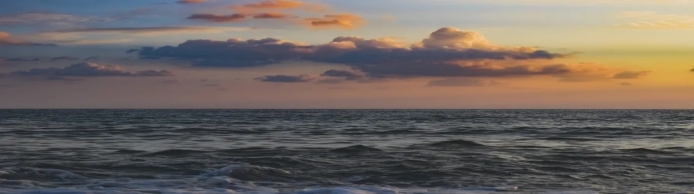 법무법인 서앤율