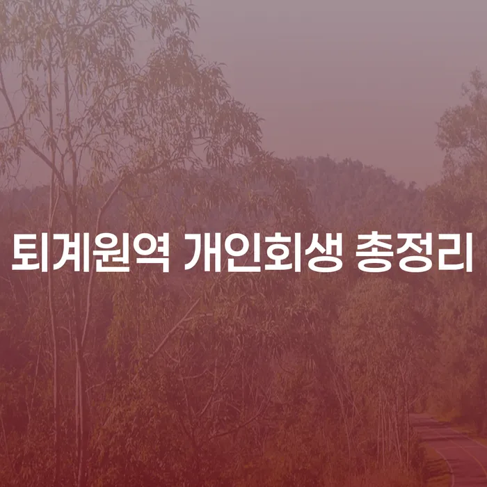 퇴계원역 개인회생 총정리