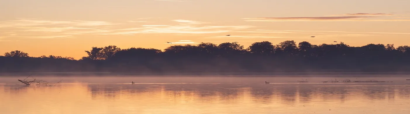 법무법인 서앤율
