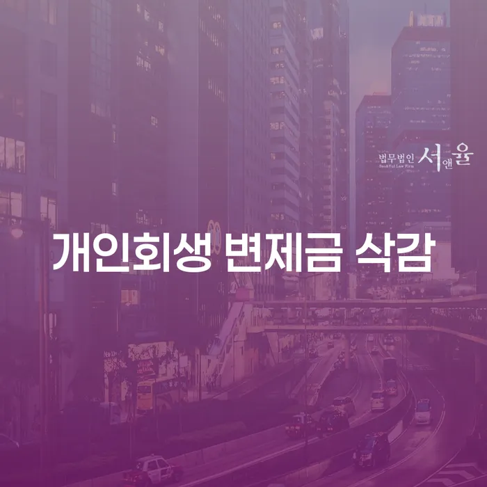 개인회생 변제금 삭감, 희망의 빛을 찾을 수 있을까요?