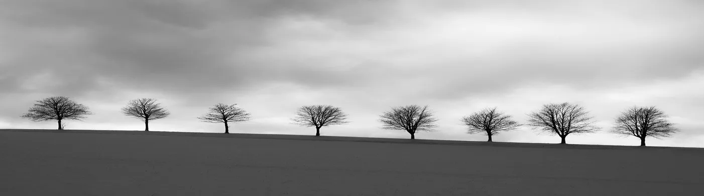 법무법인 서앤율