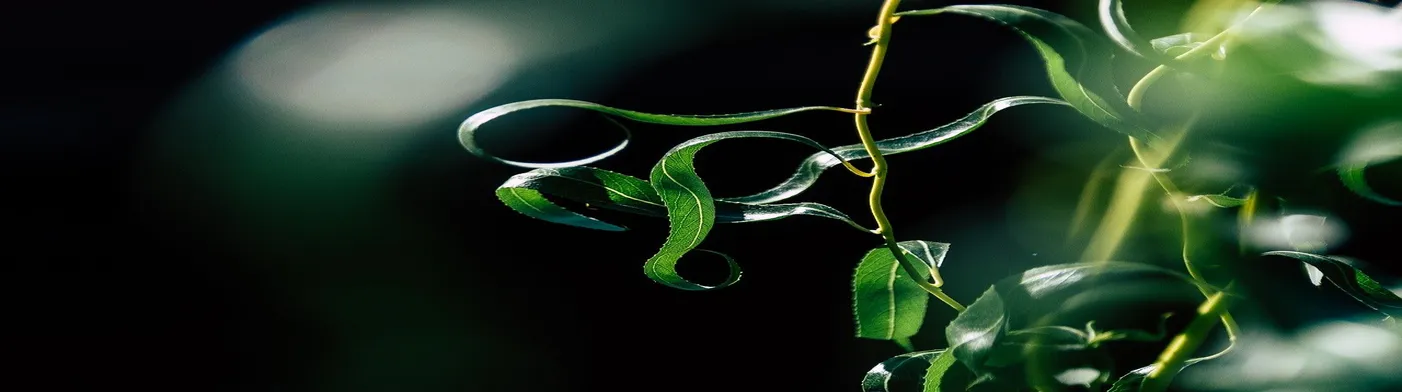 법무법인 서앤율