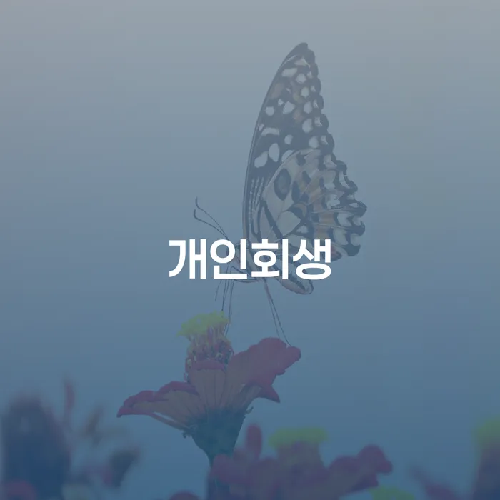 불광동 개인회생 절차와 성공적인 사례를 통한 채무 해결 방법