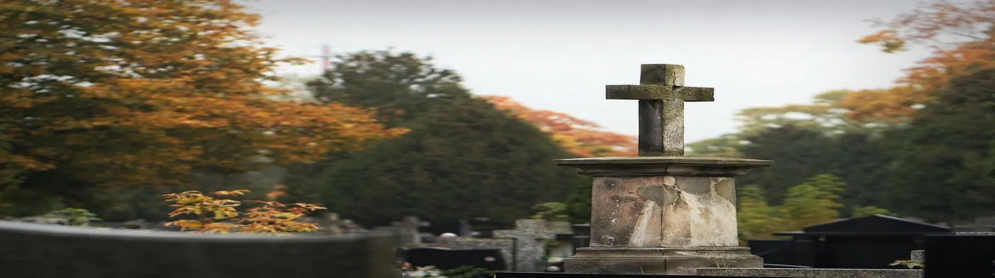 법무법인 서앤율